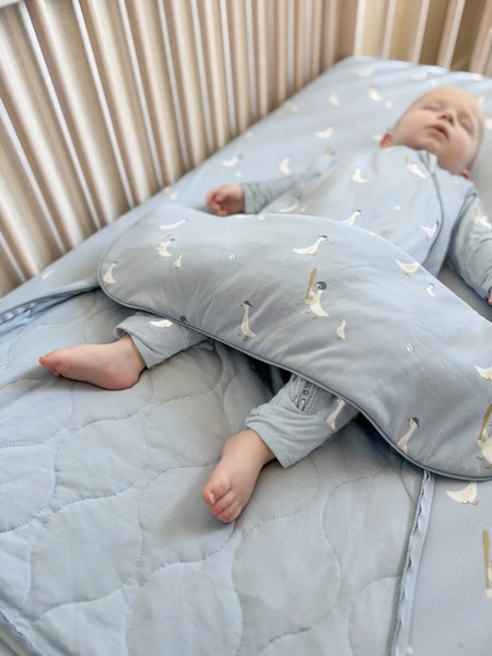 Baseball Goose Sleep Bag