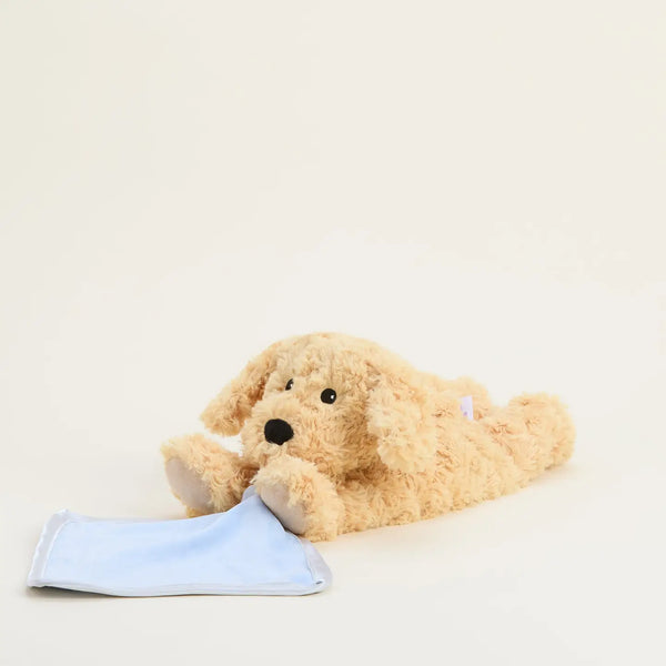 Golden Dog with Blanket