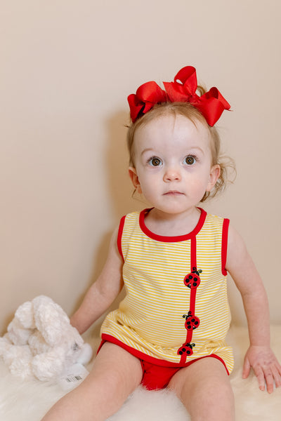 Lovely Ladybug Set