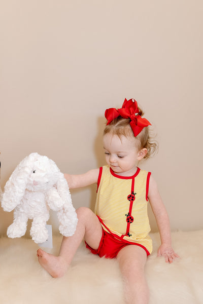 Lovely Ladybug Set