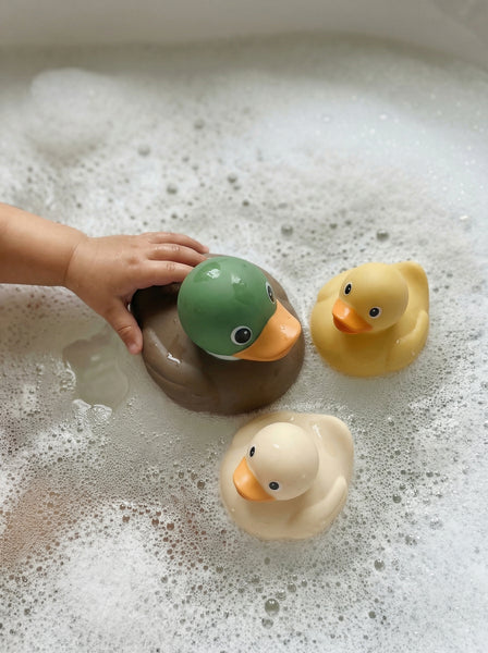 Ducky Family-Set of 3 w Mallard