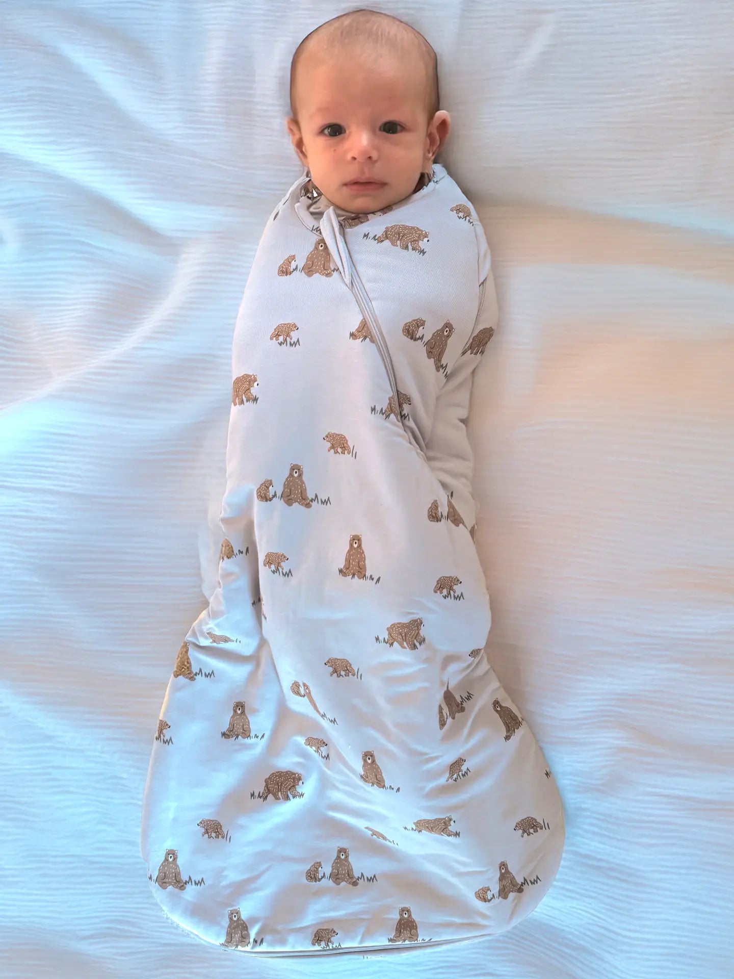 Teddy Swaddle