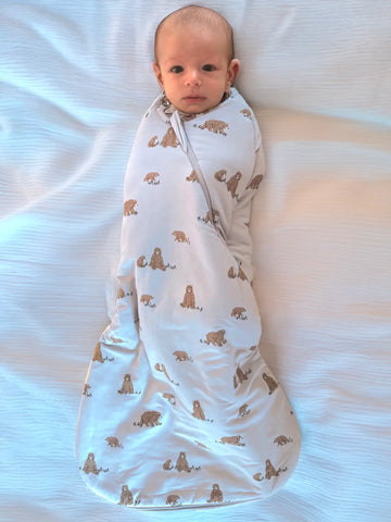Teddy Swaddle