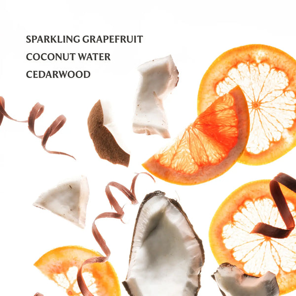 Beach Coco Hand Sanitizer