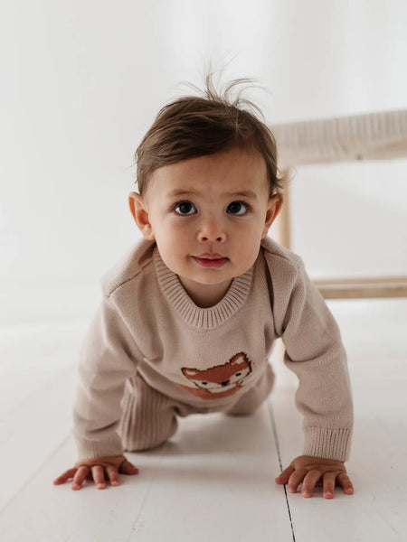 Knit Sweater - Fox