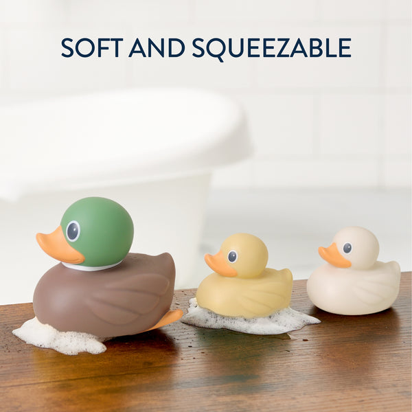 Ducky Family-Set of 3 w Mallard