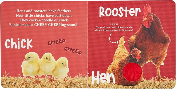 Hear & Feel Farm Book