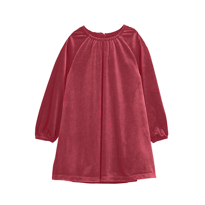 Sparkly Velvet Dress