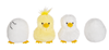 Chicken Learn & Grow
