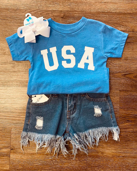 USA Block Tee in Blue