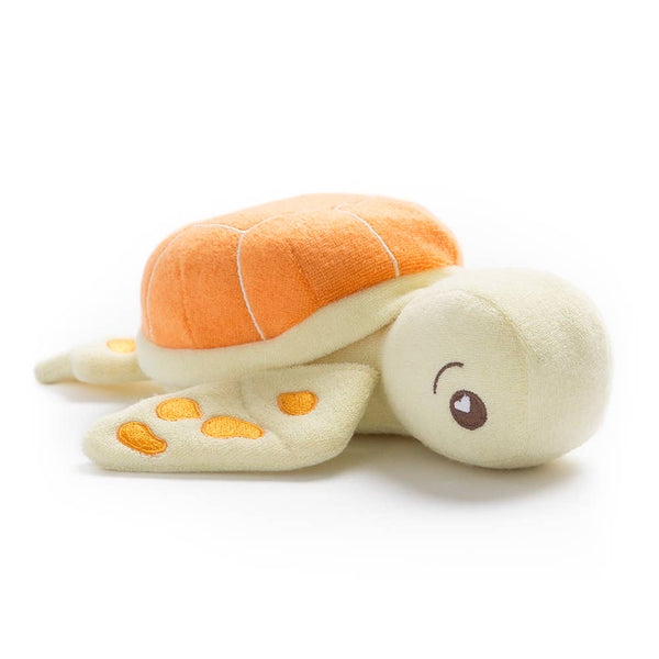 Taylor the Turtle gift set